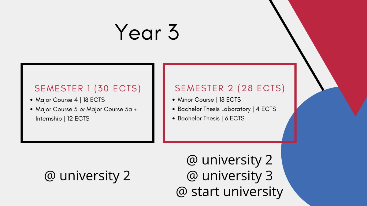 the graphic describes the course of the third year of studies, the division into two columns: the left one is semester 1 at the guest university, the right one is semester 2 at the guest university and the second guest university. Both columns with the list of courses and ECTS points